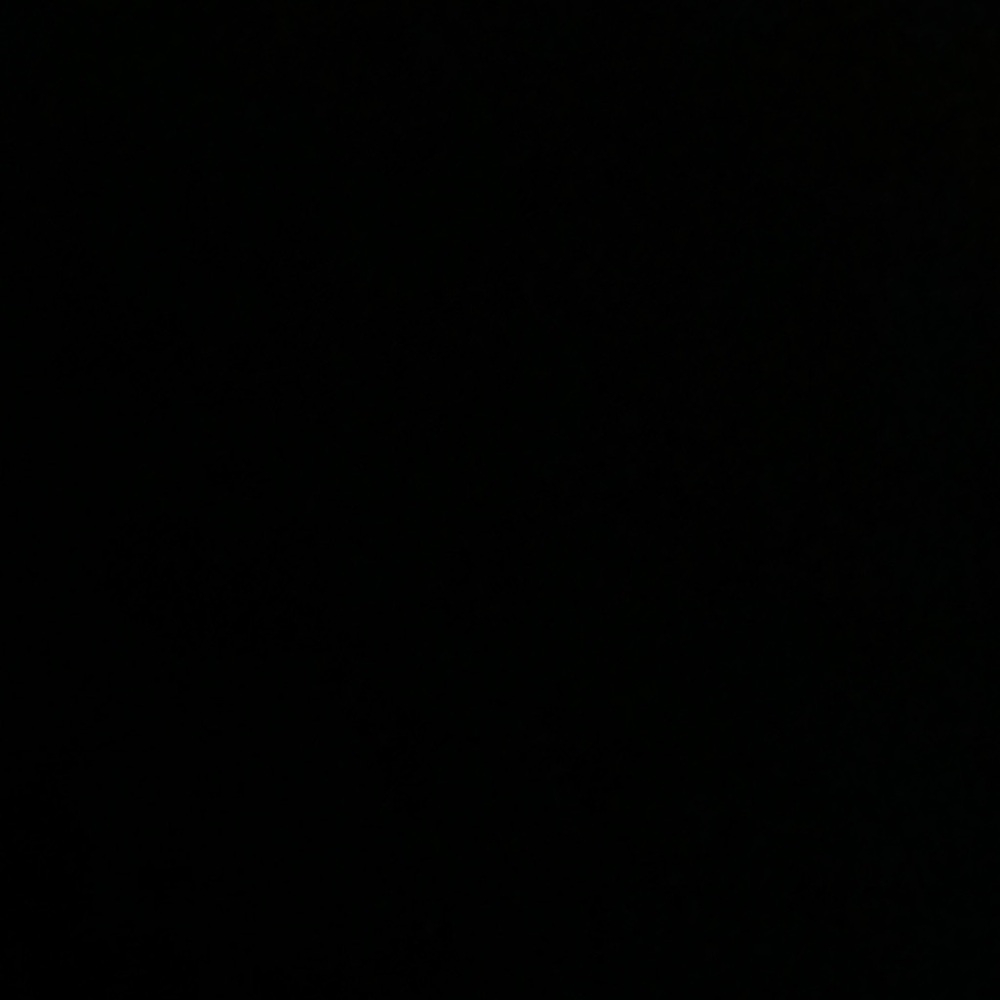 Classic Black Item